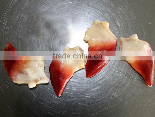 Frozen 21-25pc/kg arctic surf clam