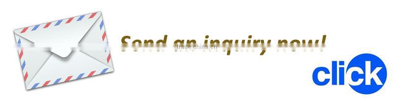 2014 New natural fresh chestnut