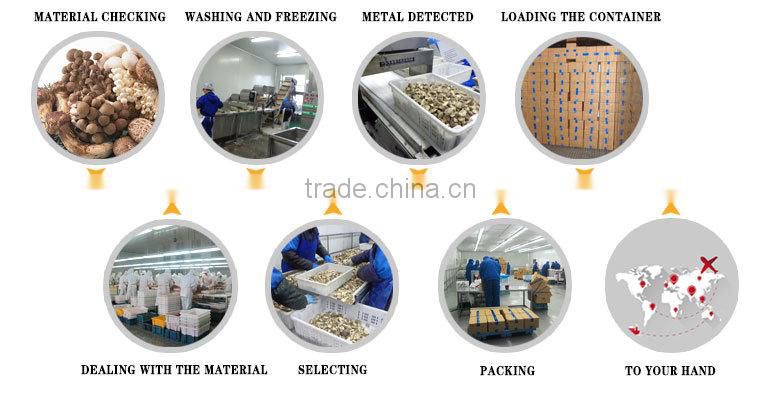 Wholesale canned iqf market prices for mushroom