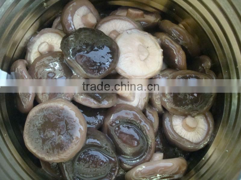 Canned shiitake mushroom whole mushroom canned