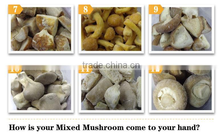 Wholesale canned iqf market prices for mushroom