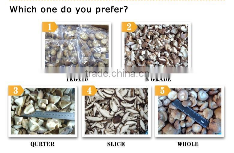 Canned Shiitake Mushroom Whole & Sliced