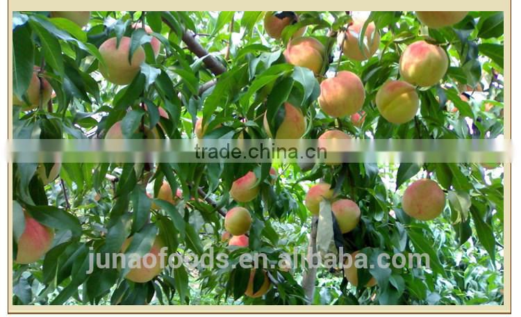 Bulk supply canned yellow peach strips