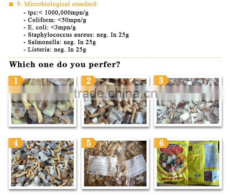 Wholesale canned iqf market prices for mushroom