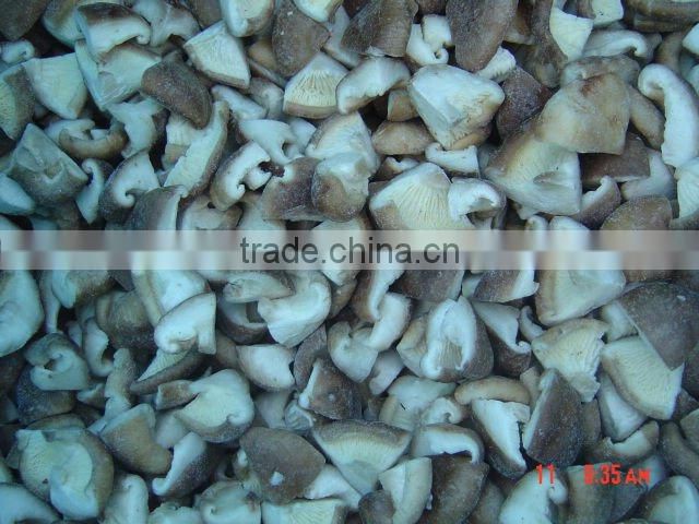 Wholesale canned iqf market prices for mushroom