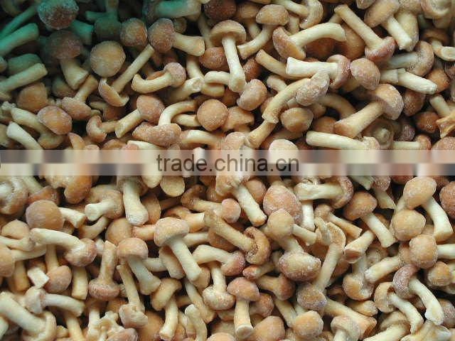 Wholesale canned iqf market prices for mushroom
