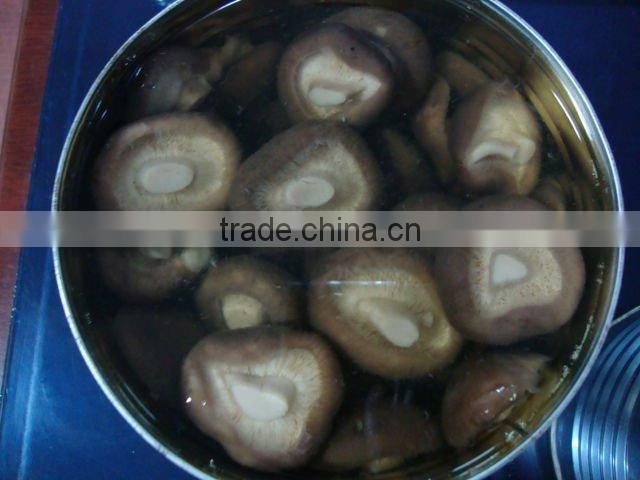 Supply Canned shiitake pieces