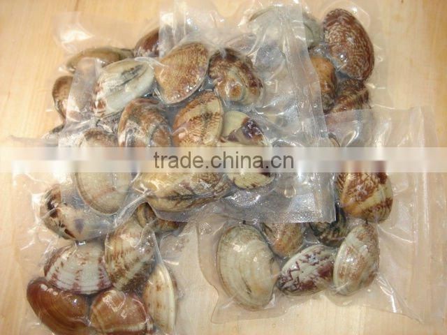Frozen short necked clam