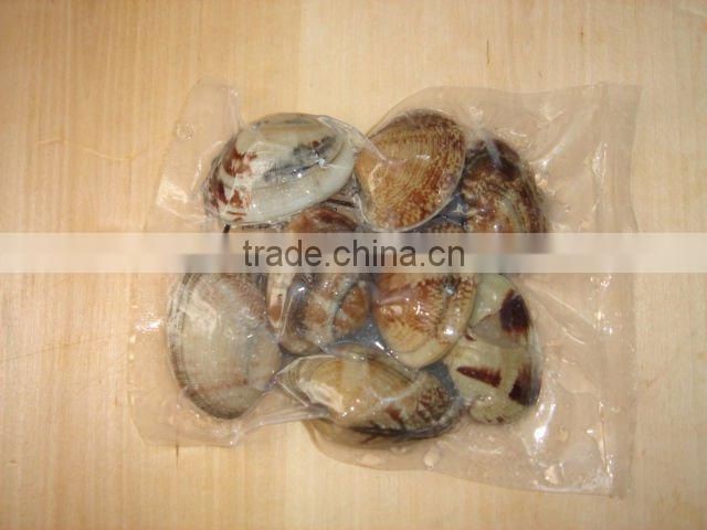 Seafood frozen boiled short necked clam meat
