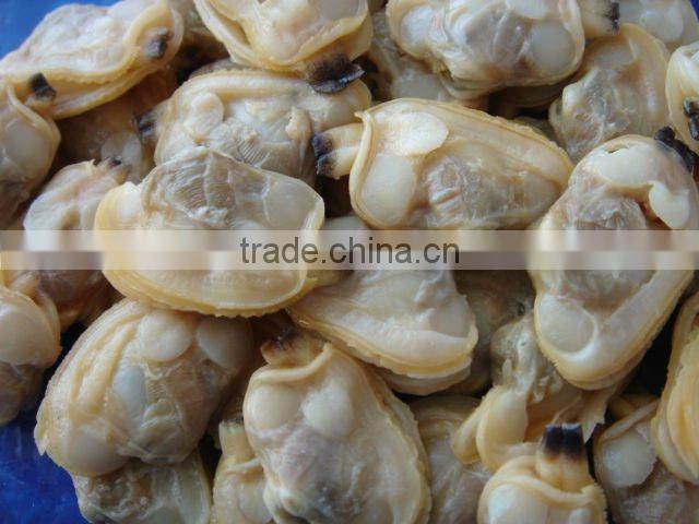 Seafood frozen boiled short necked clam meat