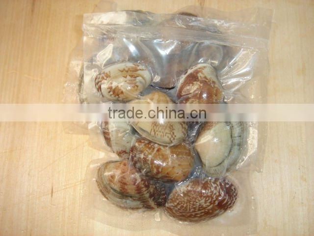 Frozen short necked clam