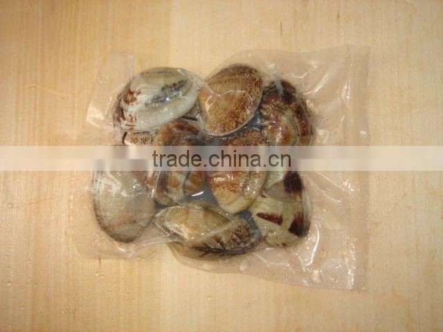 Frozen short necked clam