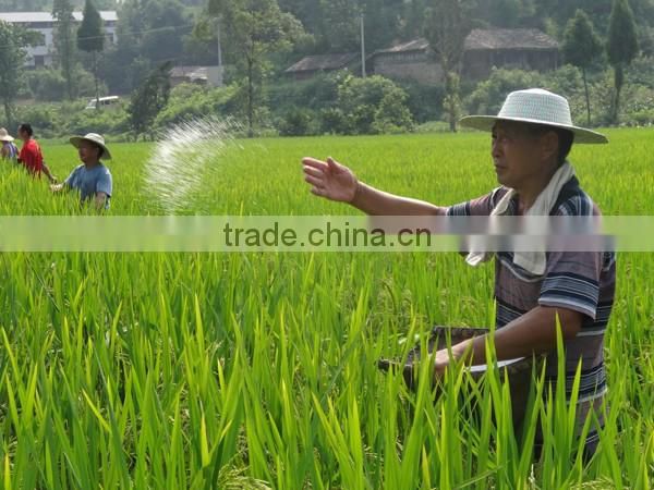 Nitrogen Fertilizer Ammonium Sulphate Granular