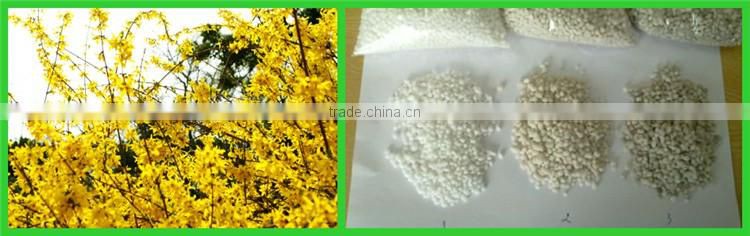 nitrogen fertilizer ammonium sulphate
