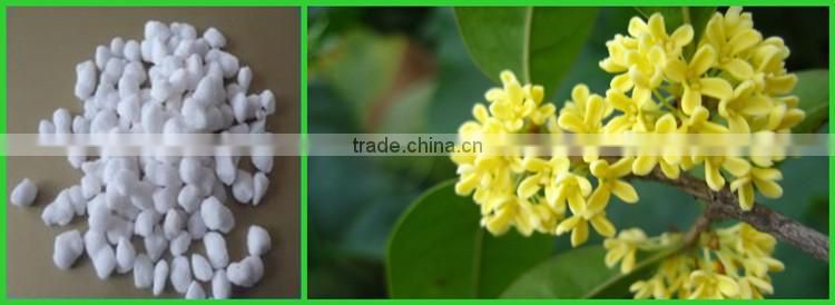 Hot Sale!!! Ammonium Sulphate