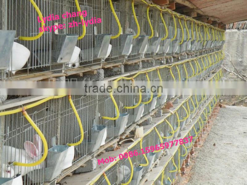 high quality Q235 material chicken cage /layer cage (lydia : 0086-15965977837)