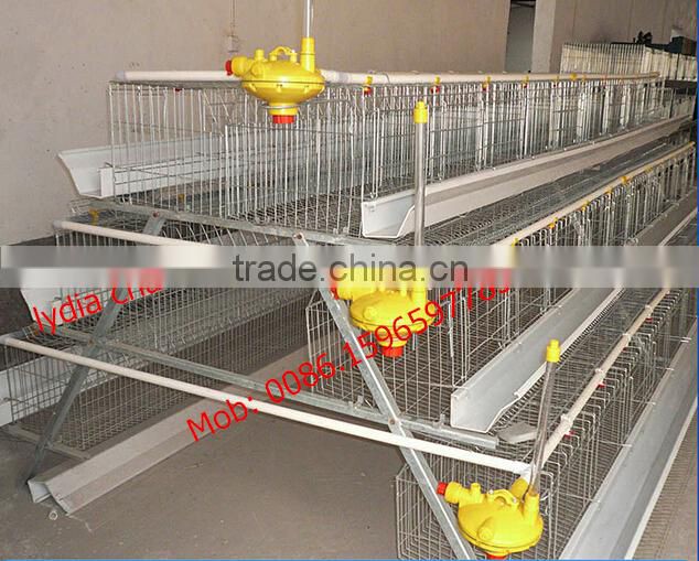 high quality Q235 material chicken cage /layer cage (lydia : 0086-15965977837)