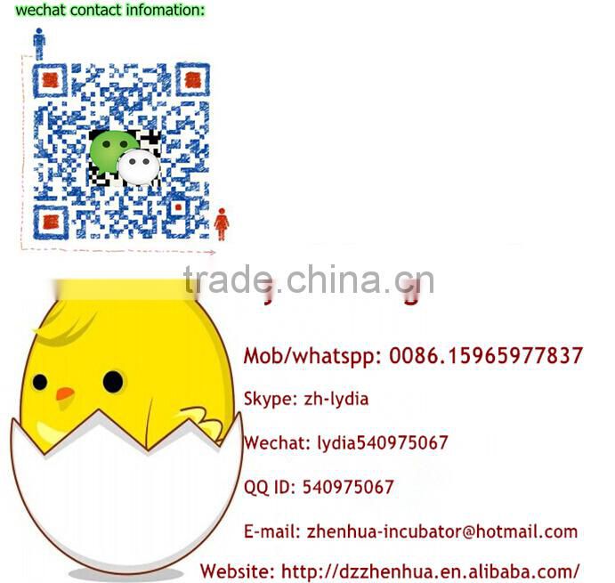 high quality Q235 material chicken cage /layer cage (lydia : 0086-15965977837)