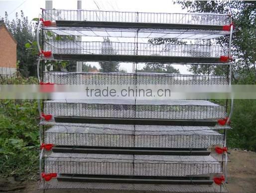 high quality Q235 material chicken cage /layer cage (lydia : 0086-15965977837)