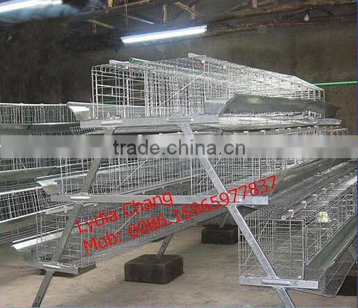 high quality Q235 material chicken cage /layer cage (lydia : 0086-15965977837)