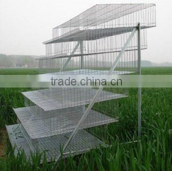 high quality Q235 material chicken cage /layer cage (lydia : 0086-15965977837)