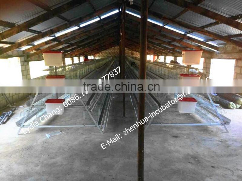 high quality Q235 material chicken cage /layer cage (lydia : 0086-15965977837)