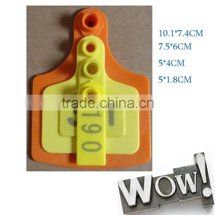 orange sheep ear tag