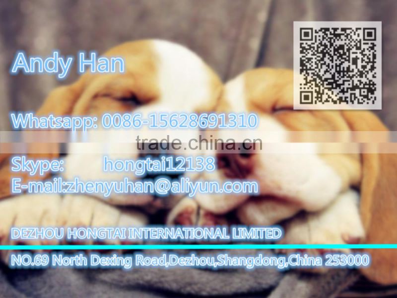 orange sheep ear tag