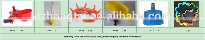 orange sheep ear tag