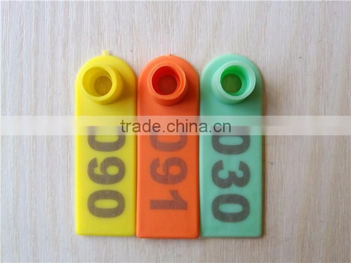 orange sheep ear tag