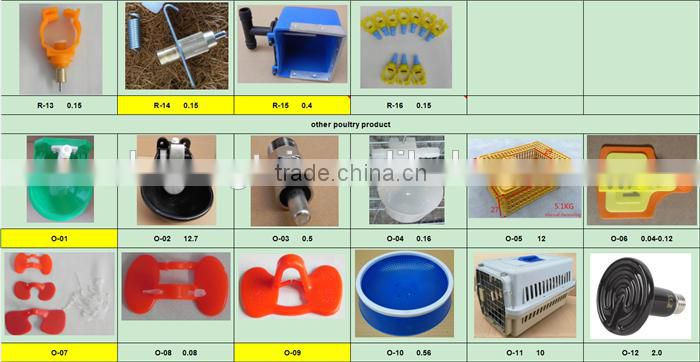 orange sheep ear tag