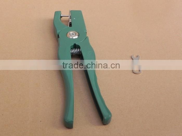 orange sheep ear tag