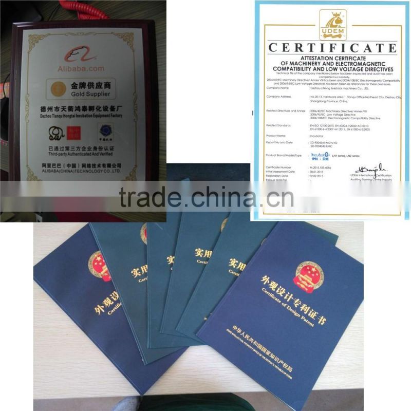 orange sheep ear tag