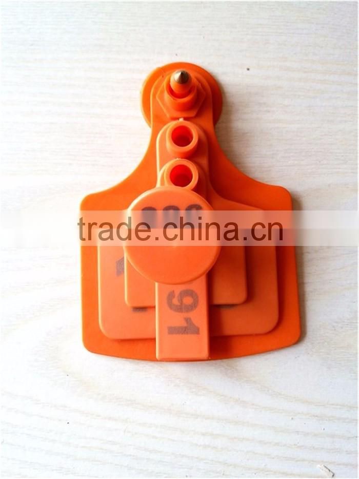 orange sheep ear tag