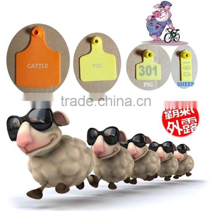 orange sheep ear tag