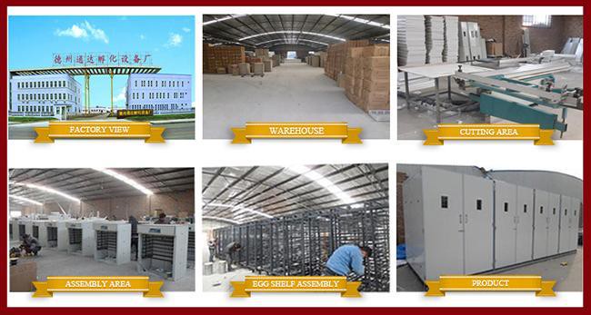 Hot selling automatic industry incubators for chickens with low price