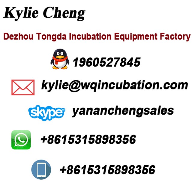 Hot selling automatic industry incubators for chickens with low price