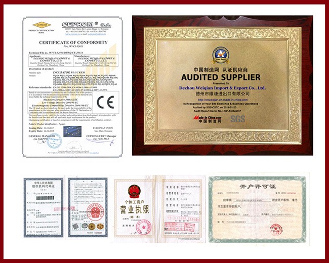 Hot selling automatic industry incubators for chickens with low price