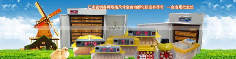 6L low price plastic turkey drinker for sale in UK WQ-D6