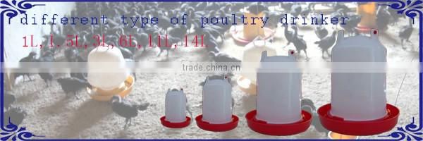 6L low price plastic turkey drinker for sale in UK WQ-D6