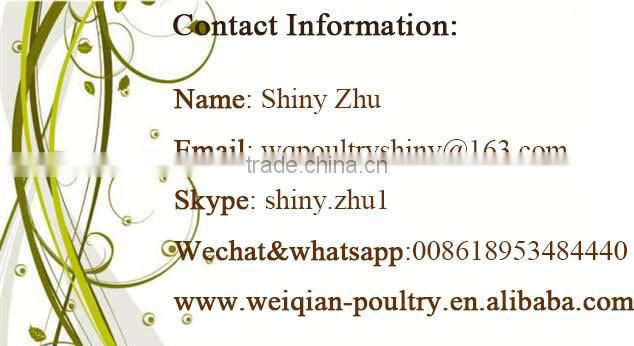 rabbit nipple drinker