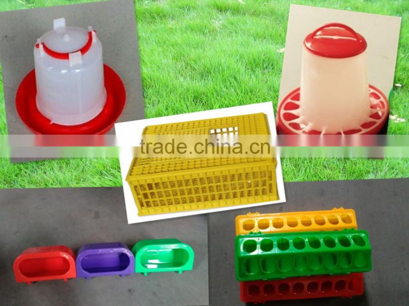 Plastic oversize transportation crate for poultry