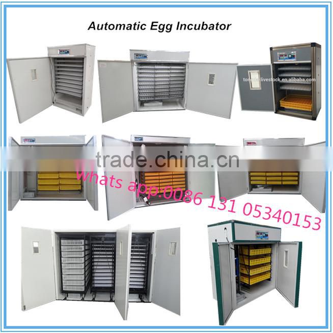 Plastic oversize transportation crate for poultry
