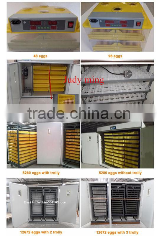 ZHENGHANG Quail Cage For Sale