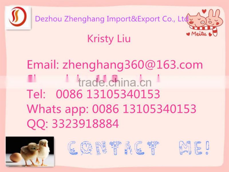 ZHENGHANG Quail Cage For Sale