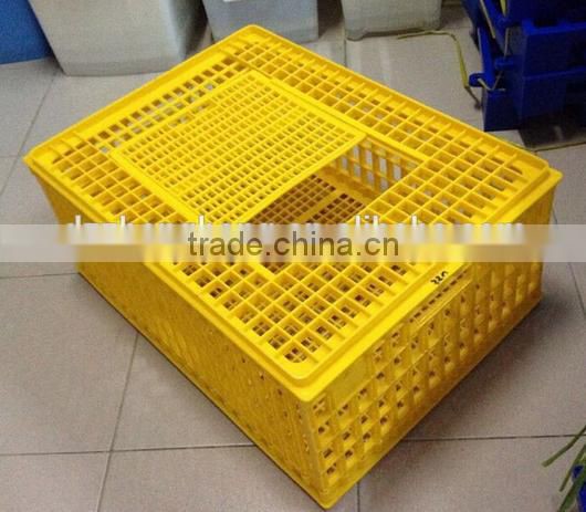 Plastic oversize transportation crate for poultry