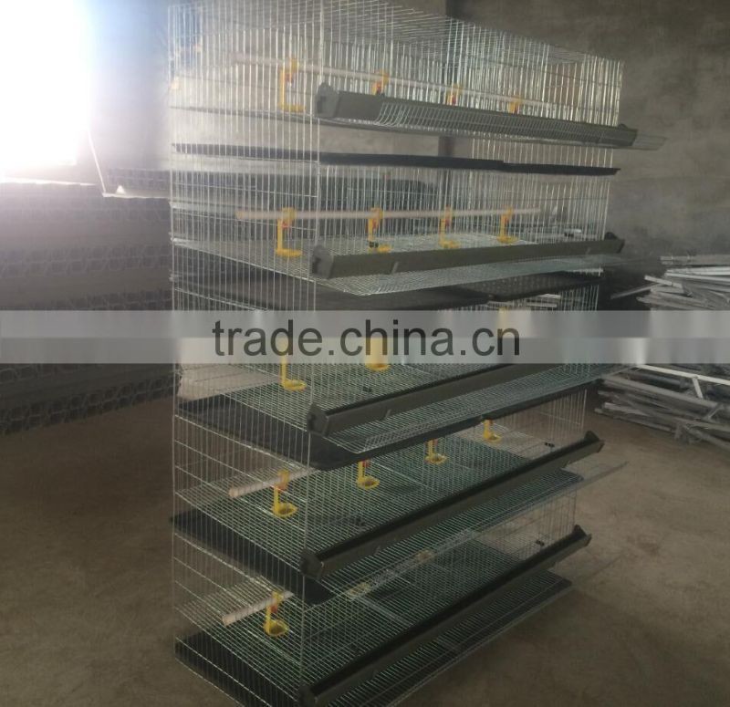 Alibaba Gold Supplier chicken cage/chicken farm/chicken cage for sale for all world