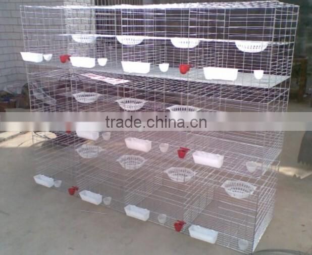 Plastic oversize transportation crate for poultry