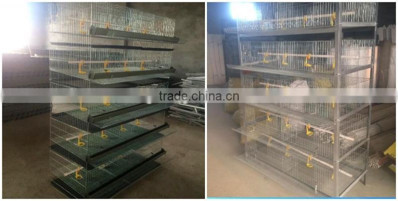 Alibaba Gold Supplier chicken cage/chicken farm/chicken cage for sale for all world