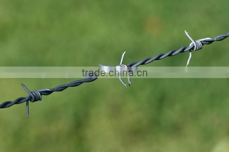 Best wholesale websites barbed wire/PVC coated wire/razor barbed wire